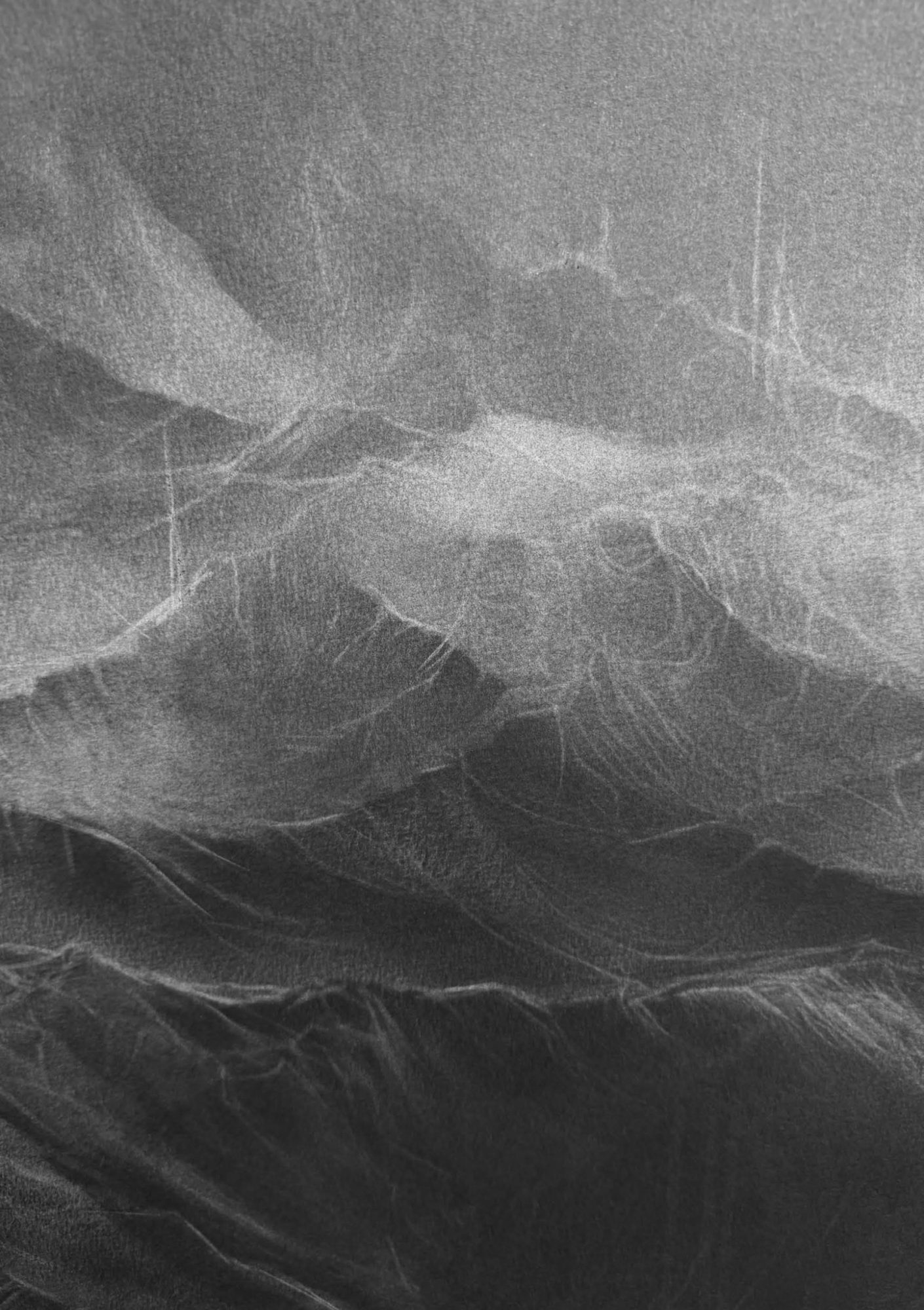 Angélique Lecaille, Liminal (détail)