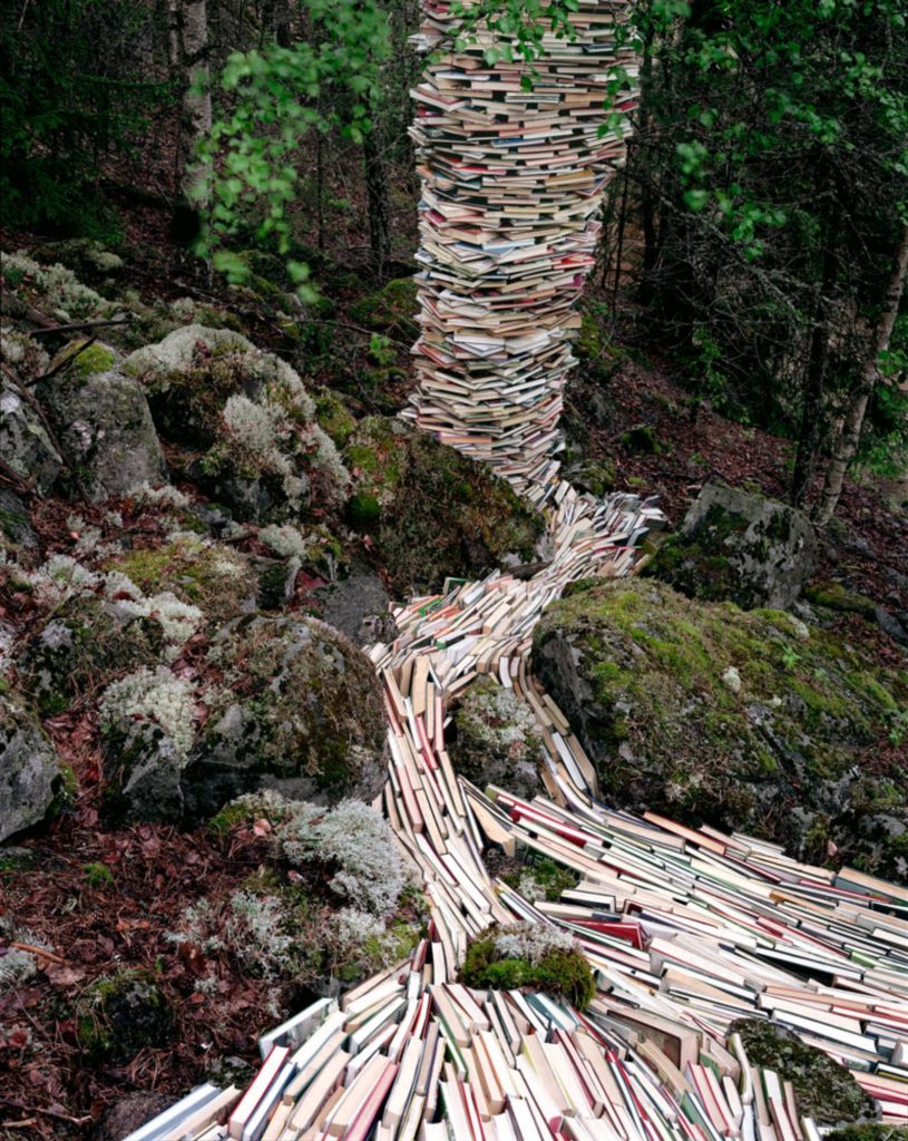 Rune Guneriussen, Aftermath of habitual argument, 2013