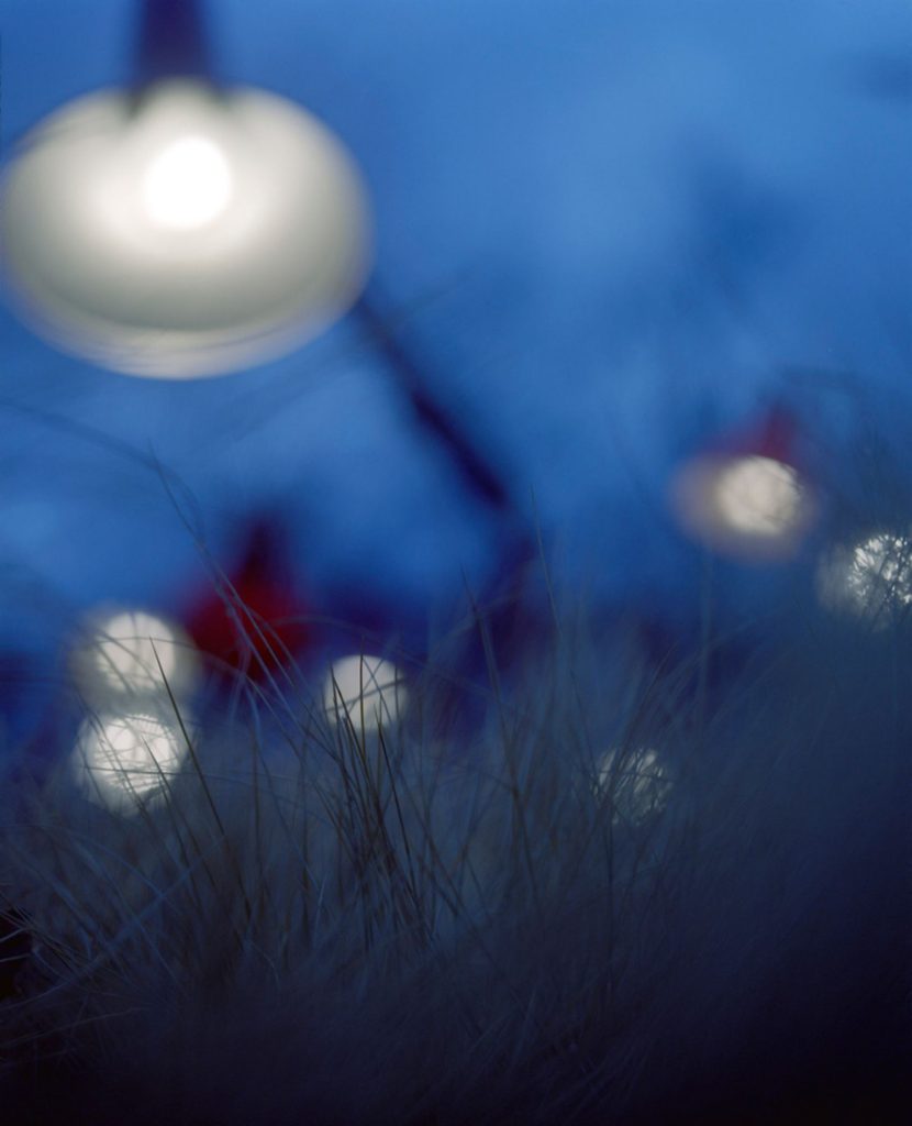 Rune Guneriussen, Bushy edges of fiction, 2011
