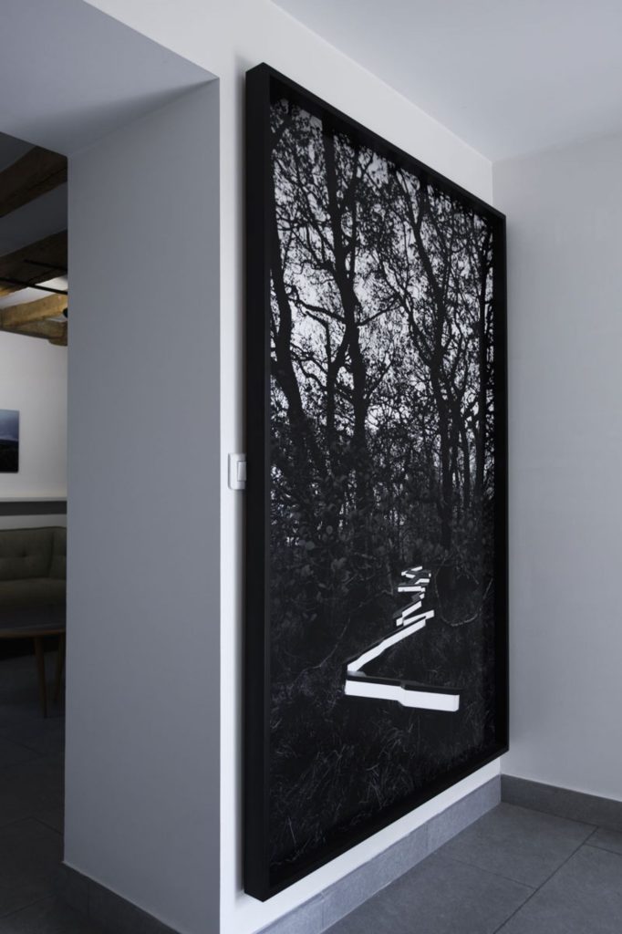 Vue de l’exposition « Nature knows »