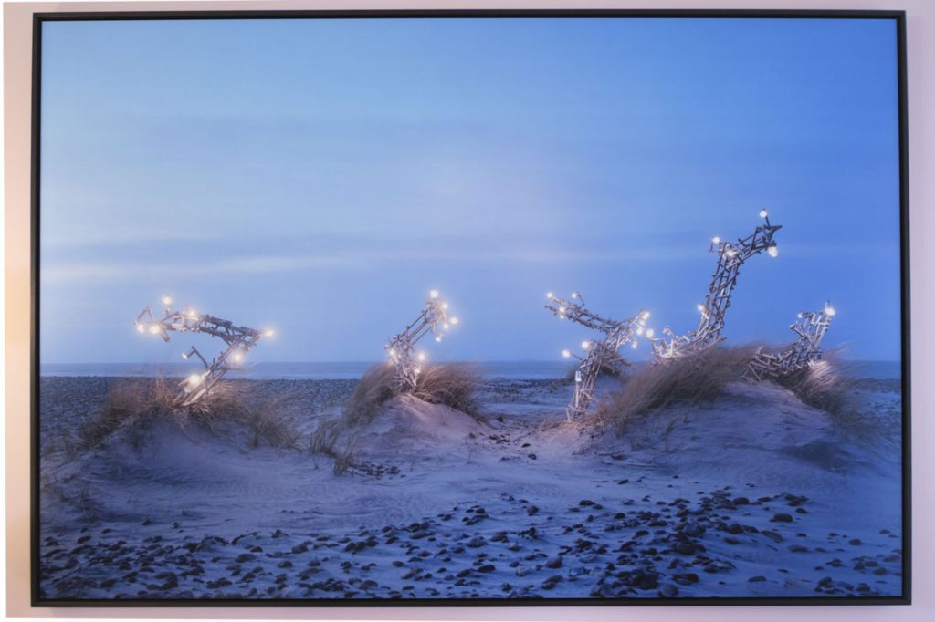 Vue de l’exposition « Nature knows »
