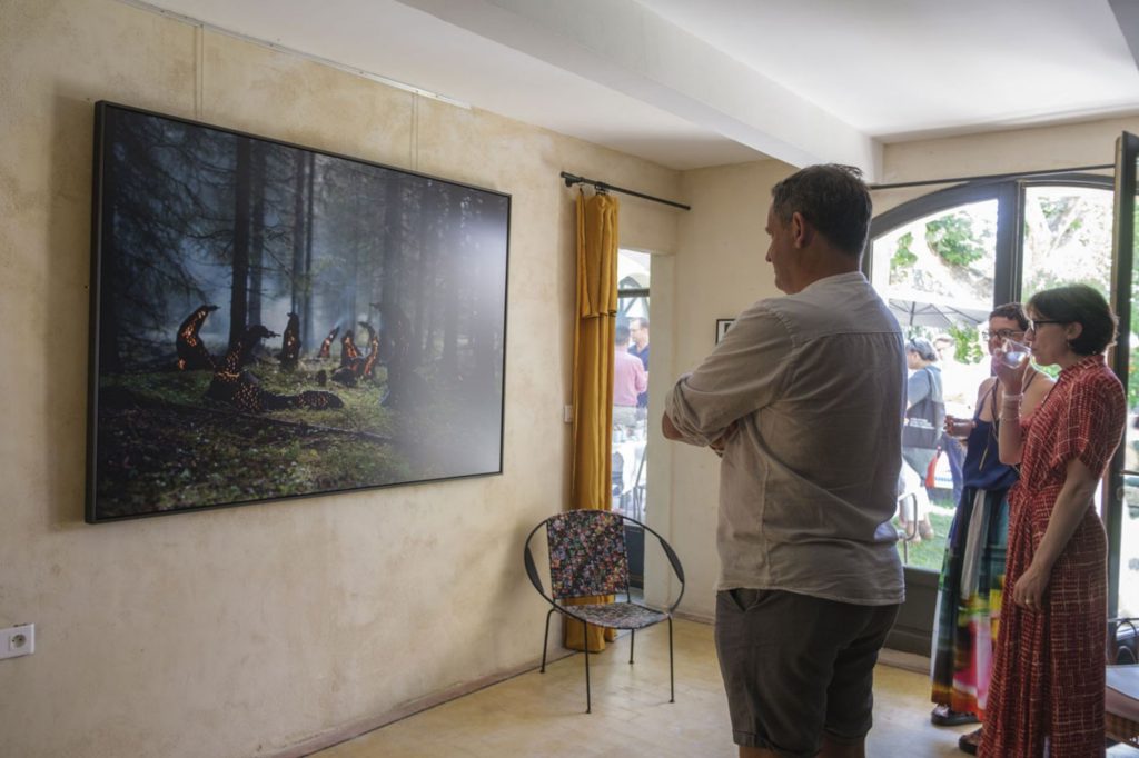 Vue de l’exposition « Nature knows »