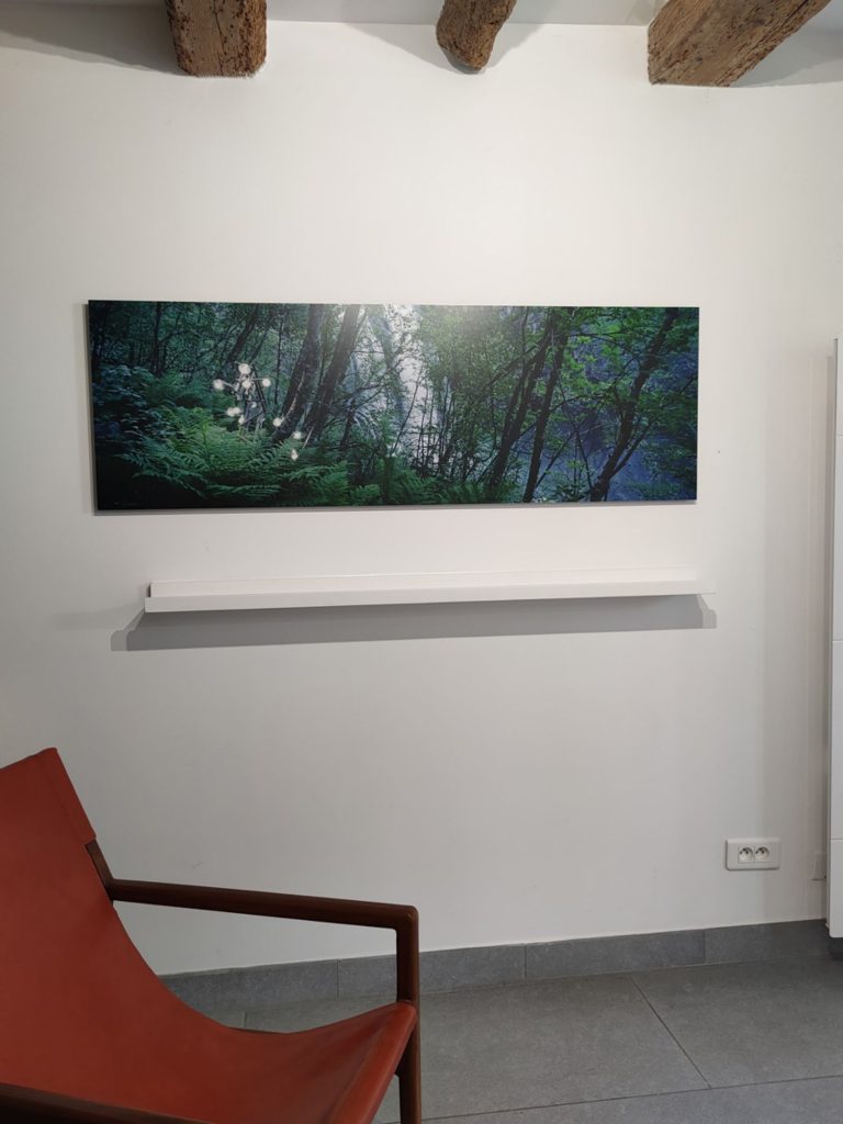 Vue de l’exposition « Nature knows »