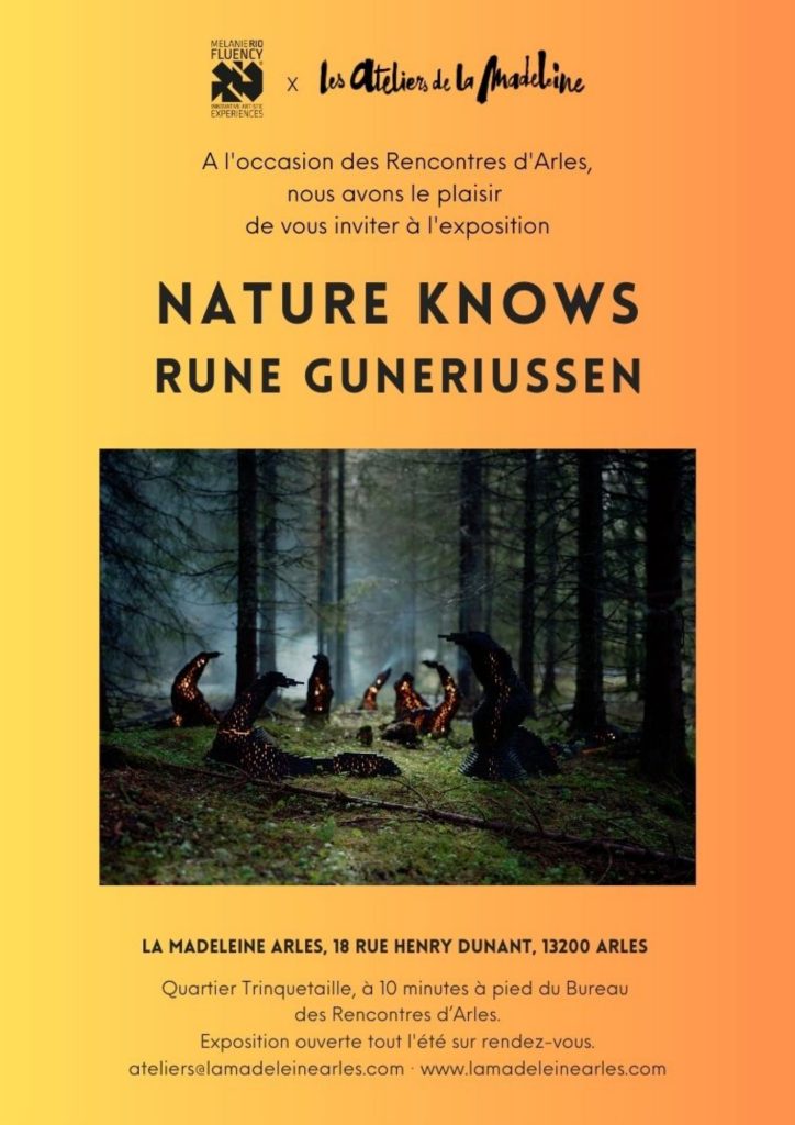Vue de l’exposition « Nature knows »