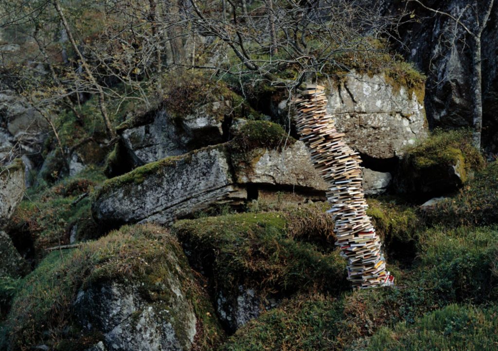 Rune Guneriussen, Science of planting forest, 2010