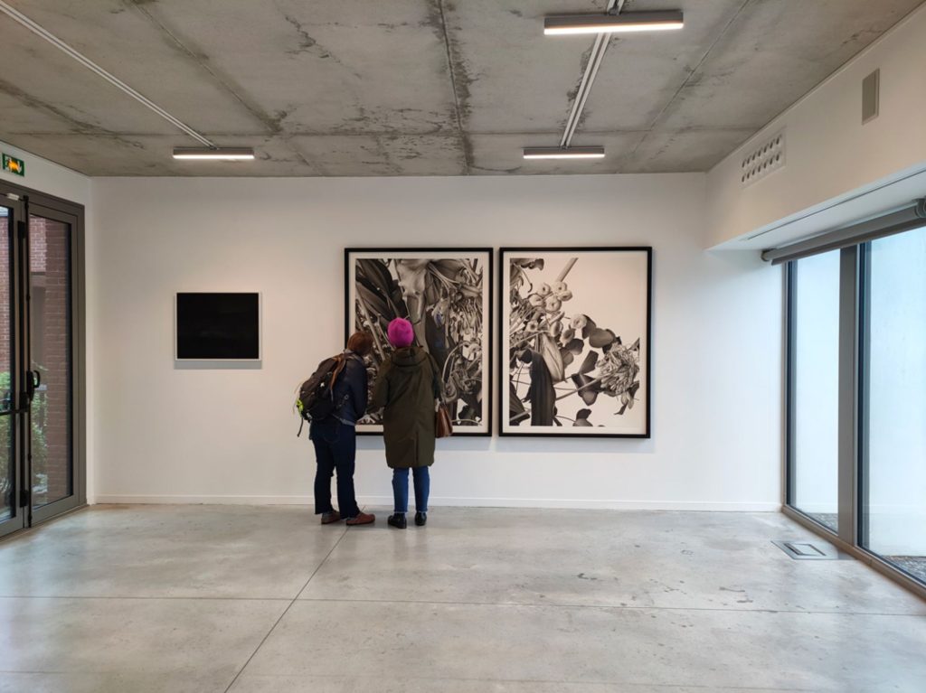 Vue de l'exposition