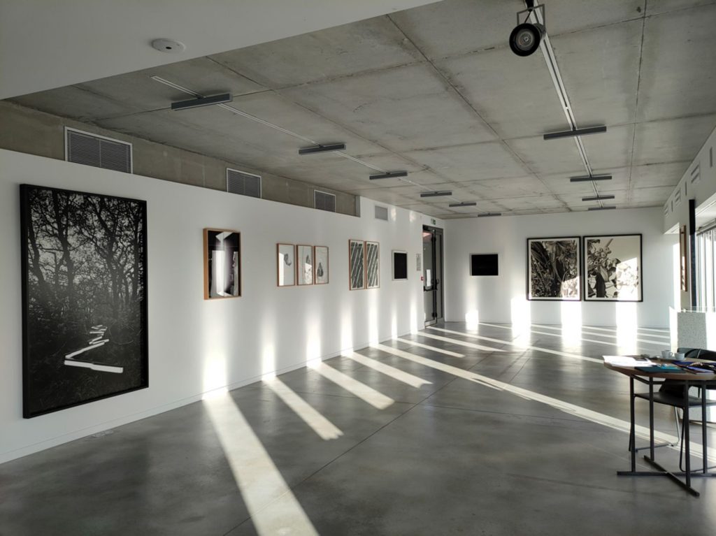 Vue de l'exposition